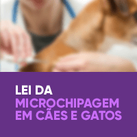 Lei da Microchipagem em Cães e Gatos